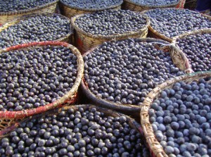 acai berry cleanse